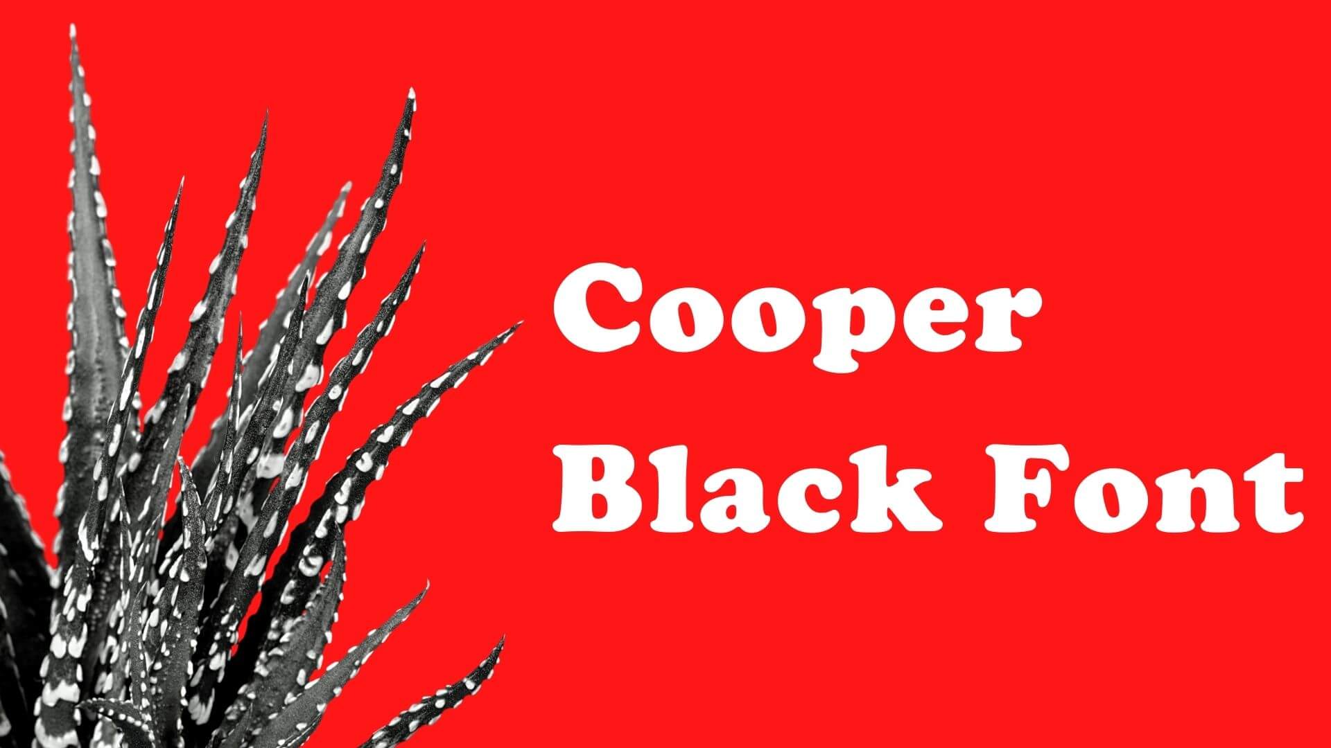 Detail Download Logo Copper Black Ps Nomer 53