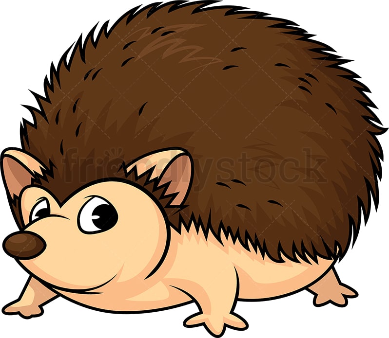 Hedgehog Cartoon - KibrisPDR