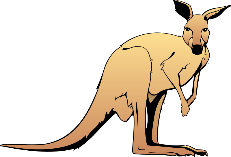 Detail Kangaroo Clipart Nomer 10