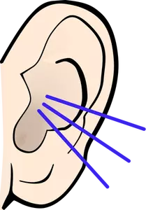 Detail Ohr Clipart Nomer 10