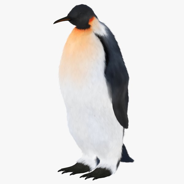 Pinguin Haare - KibrisPDR