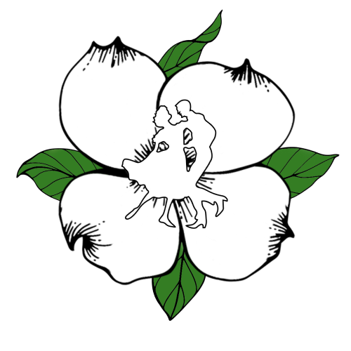 Detail Square Dance Logo Nomer 22