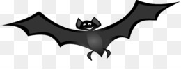 Detail Voo Do Morcego Nomer 13