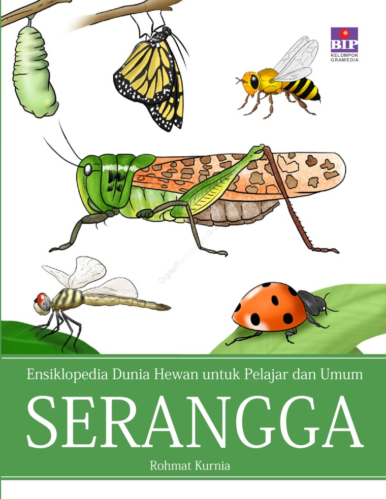 Detail Buku Ensiklopedia Binatang Nomer 12