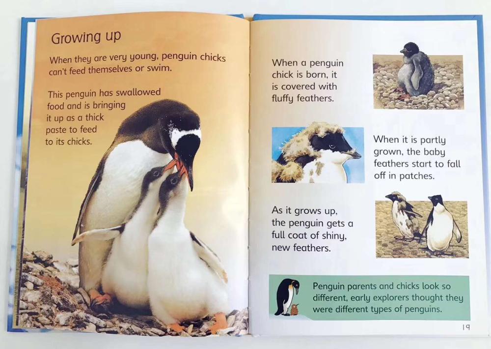 Detail Buku Ensiklopedia Binatang Nomer 31