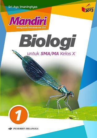 Detail Buku Erlangga Kelas 10 Nomer 38