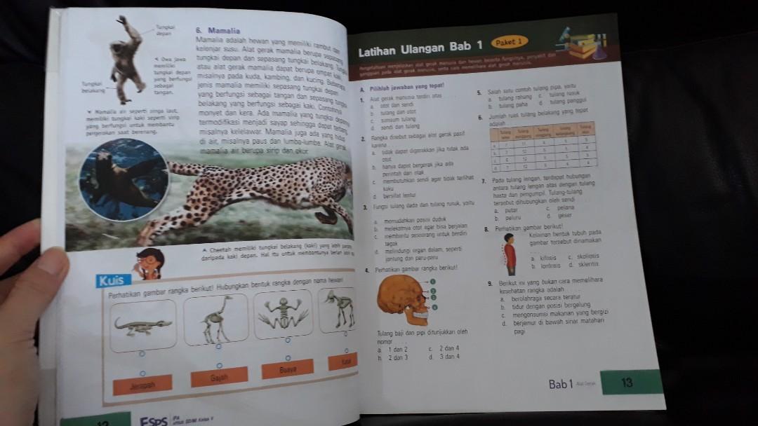 Detail Buku Esps Erlangga Nomer 26