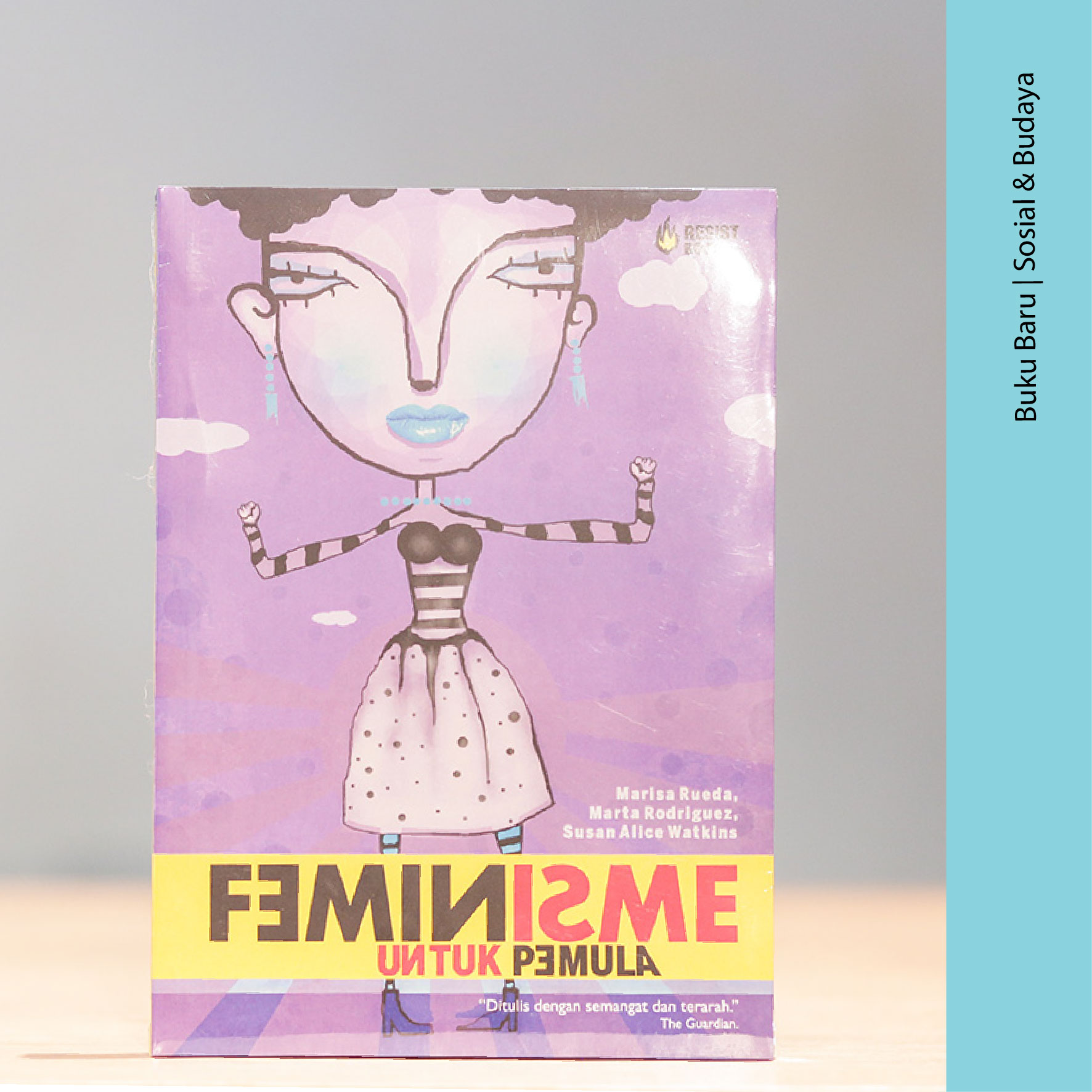 Detail Buku Feminisme Untuk Pemula Nomer 5