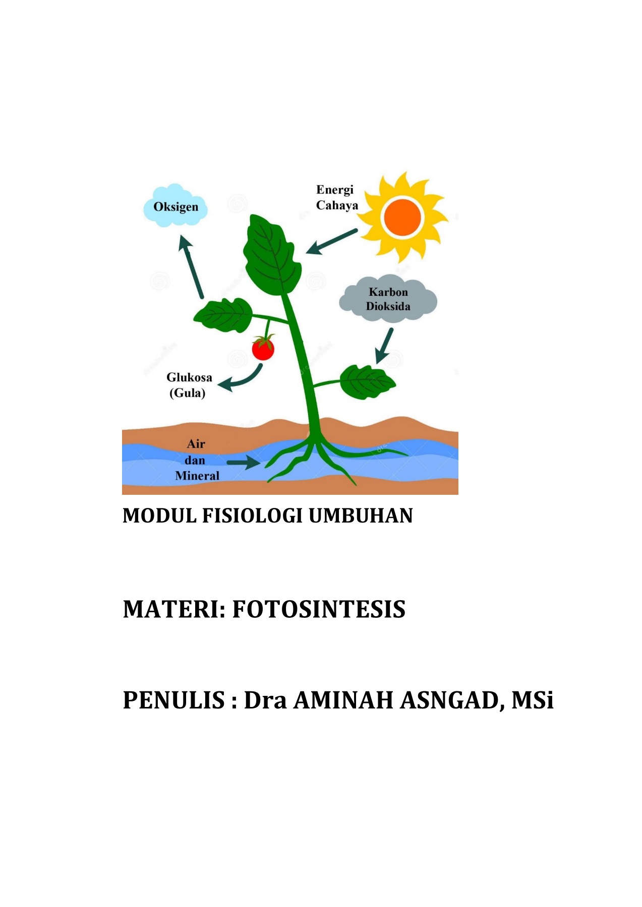 Detail Buku Fisiologi Tumbuhan Nomer 41