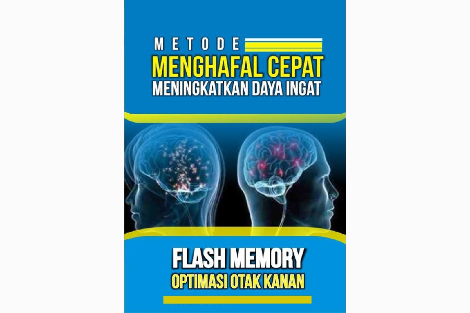 Detail Buku Flash Memory Nomer 4