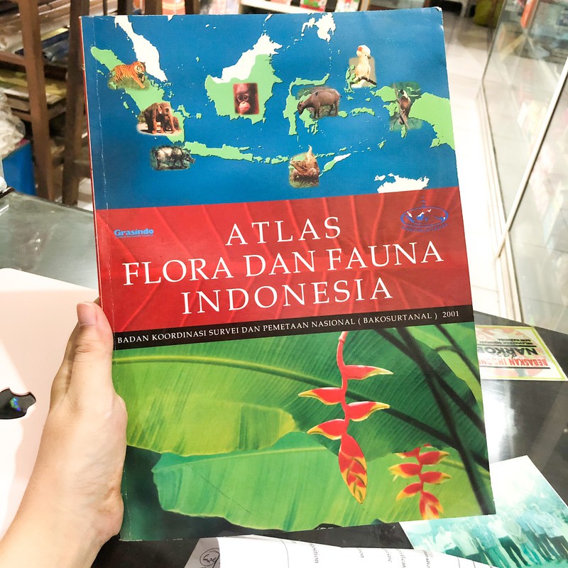 Detail Buku Flora Indonesia Nomer 43