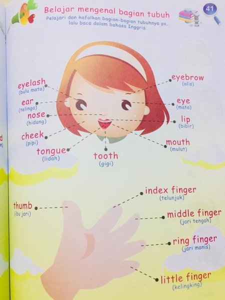 Detail Buku Gambar Anak Tk Nomer 39