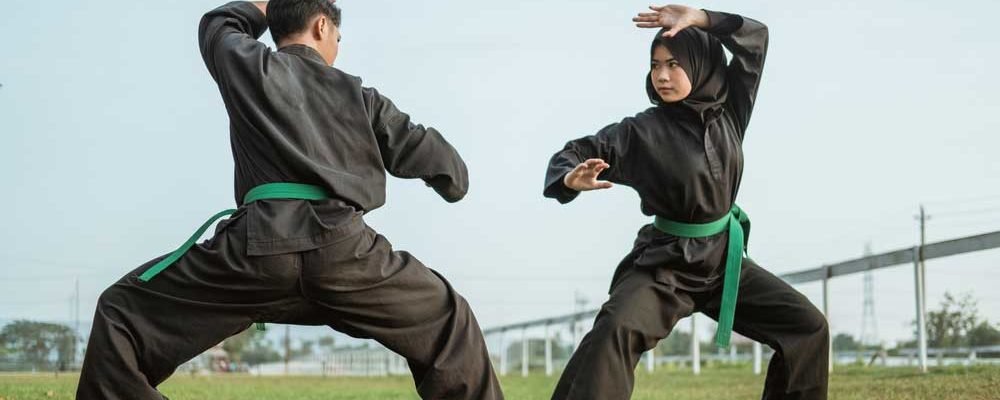 Detail Buku Gerakan Silat Psht Lengkap Gambar Nomer 14