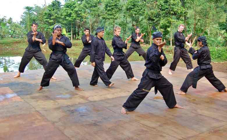 Detail Buku Gerakan Silat Psht Lengkap Gambar Nomer 39