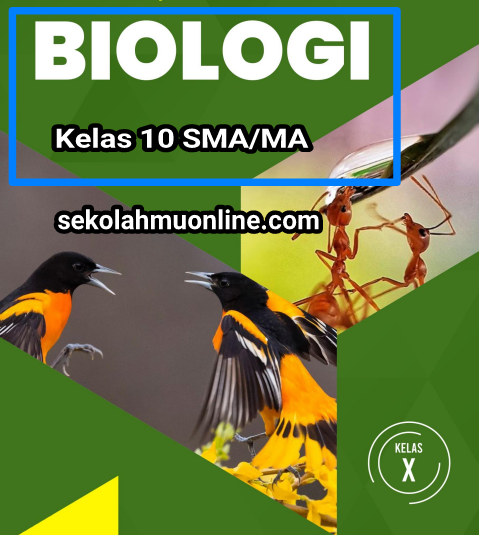 Detail Buku Guru Biologi Kelas 10 Nomer 17