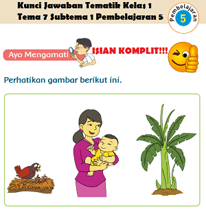 Detail Buku Guru Kelas 1 Tema 7 Nomer 31