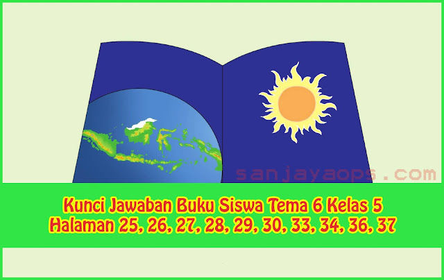 Detail Buku Guru Kelas 5 Tema 6 Nomer 17