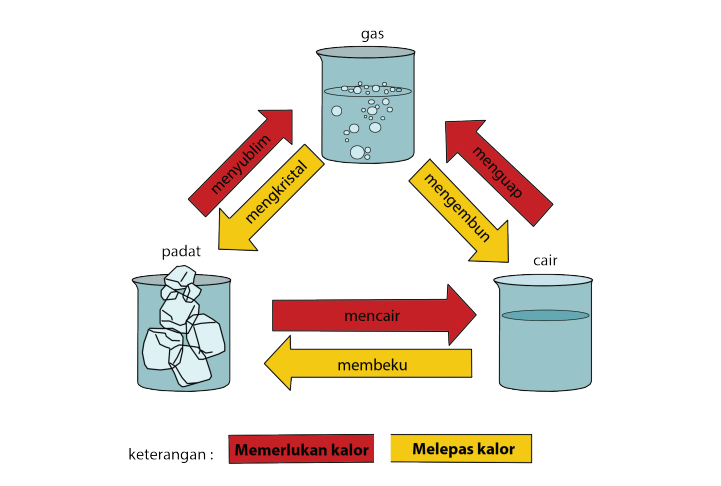 Detail Buku Guru Kelas 5 Tema 7 Nomer 40