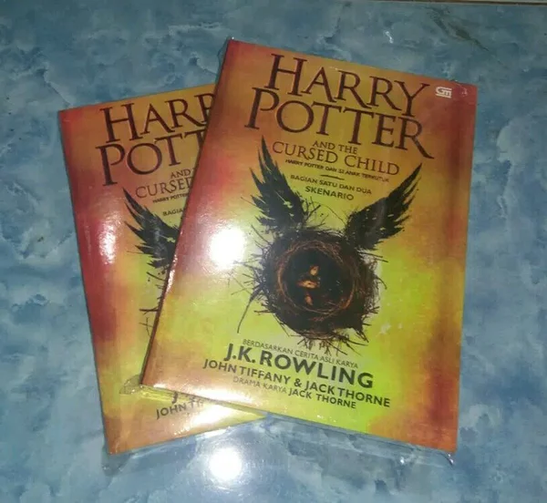Detail Buku Harry Potter And The Cursed Child Versi Indonesia Nomer 14