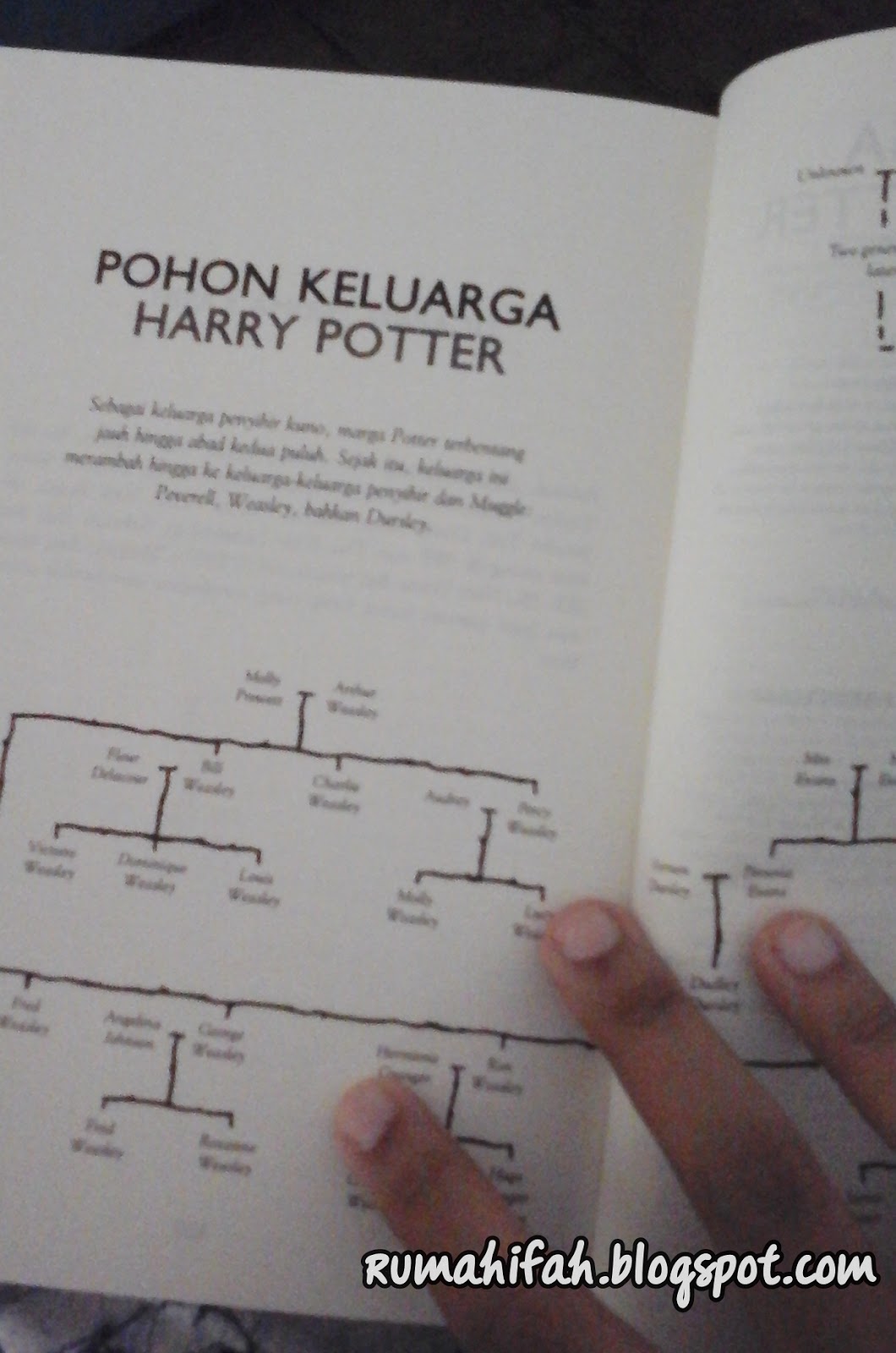 Detail Buku Harry Potter And The Cursed Child Versi Indonesia Nomer 40