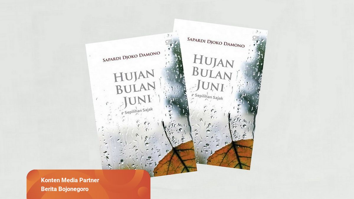 Detail Buku Hujan Bulan Juni Nomer 13