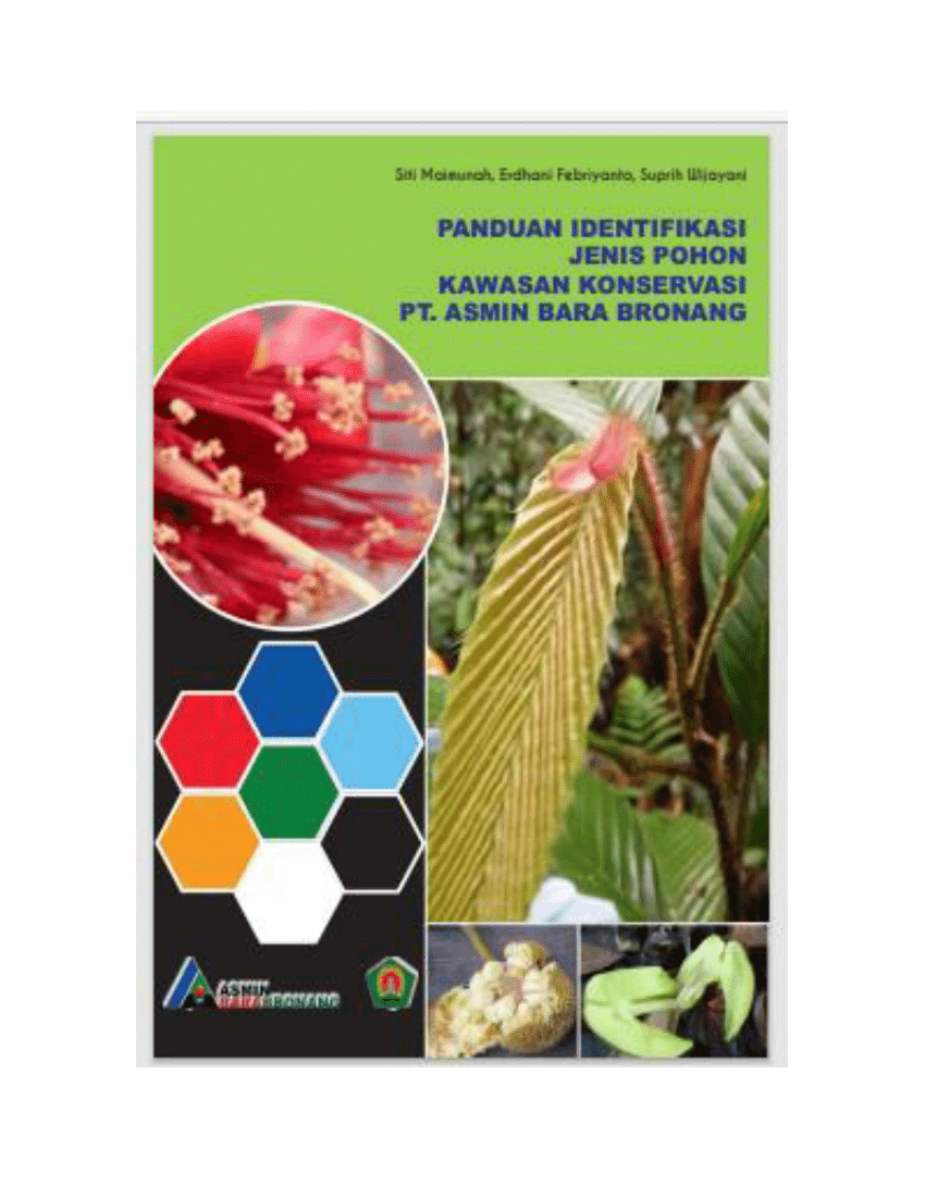 Detail Buku Identifikasi Pohon Nomer 2