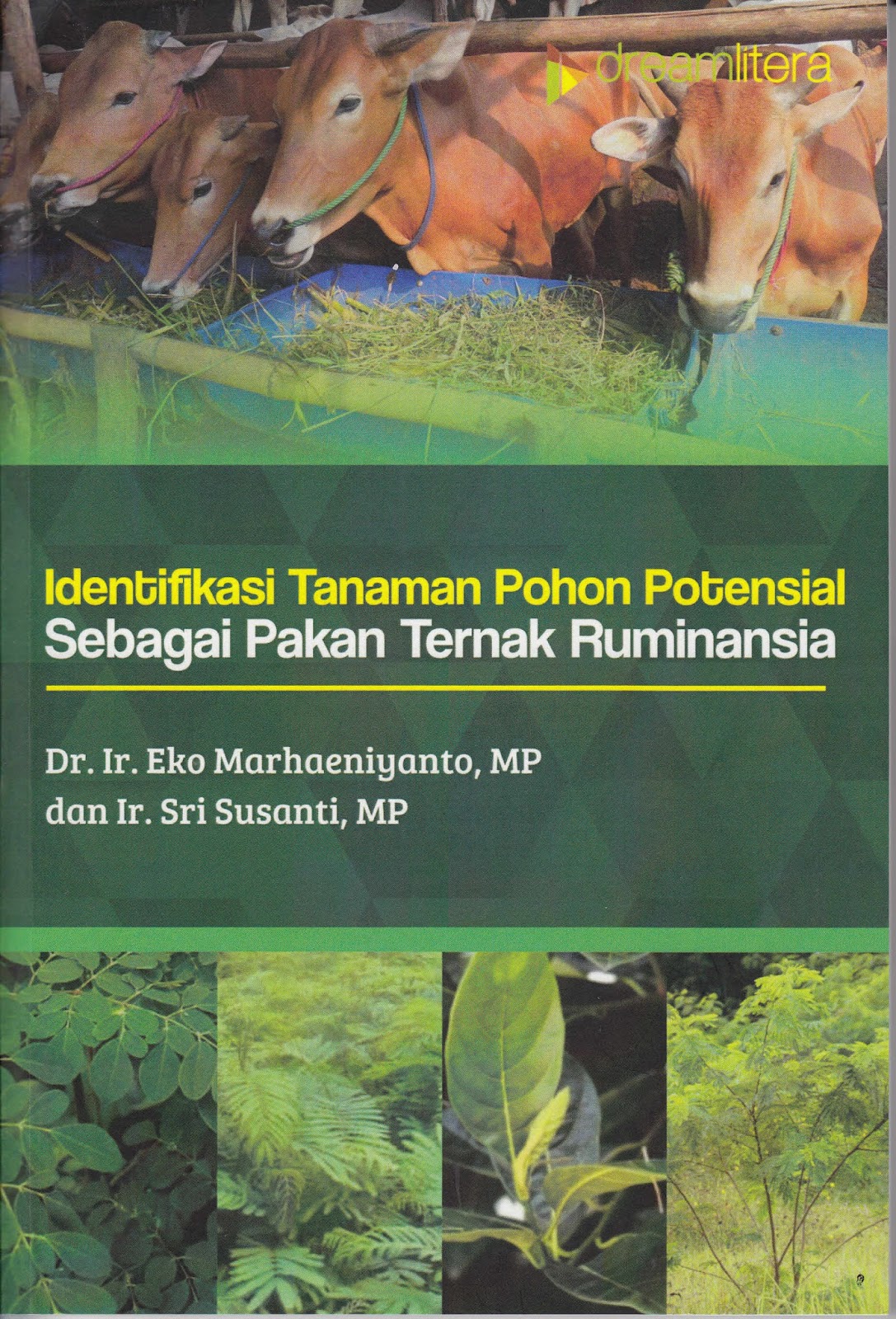 Detail Buku Identifikasi Pohon Nomer 16