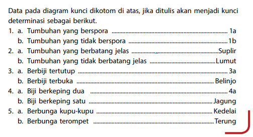 Detail Buku Identifikasi Pohon Nomer 18