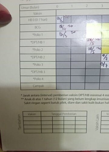 Detail Buku Imunisasi Anak Nomer 15