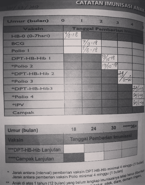 Detail Buku Imunisasi Anak Nomer 23