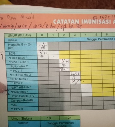 Detail Buku Imunisasi Anak Nomer 2
