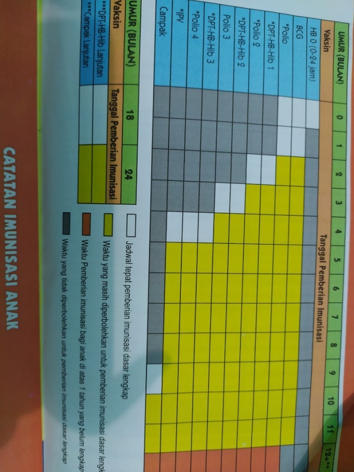 Detail Buku Imunisasi Anak Nomer 25