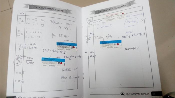 Detail Buku Imunisasi Anak Nomer 28