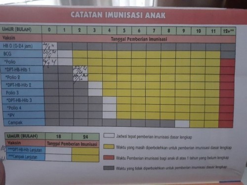 Detail Buku Imunisasi Anak Nomer 4