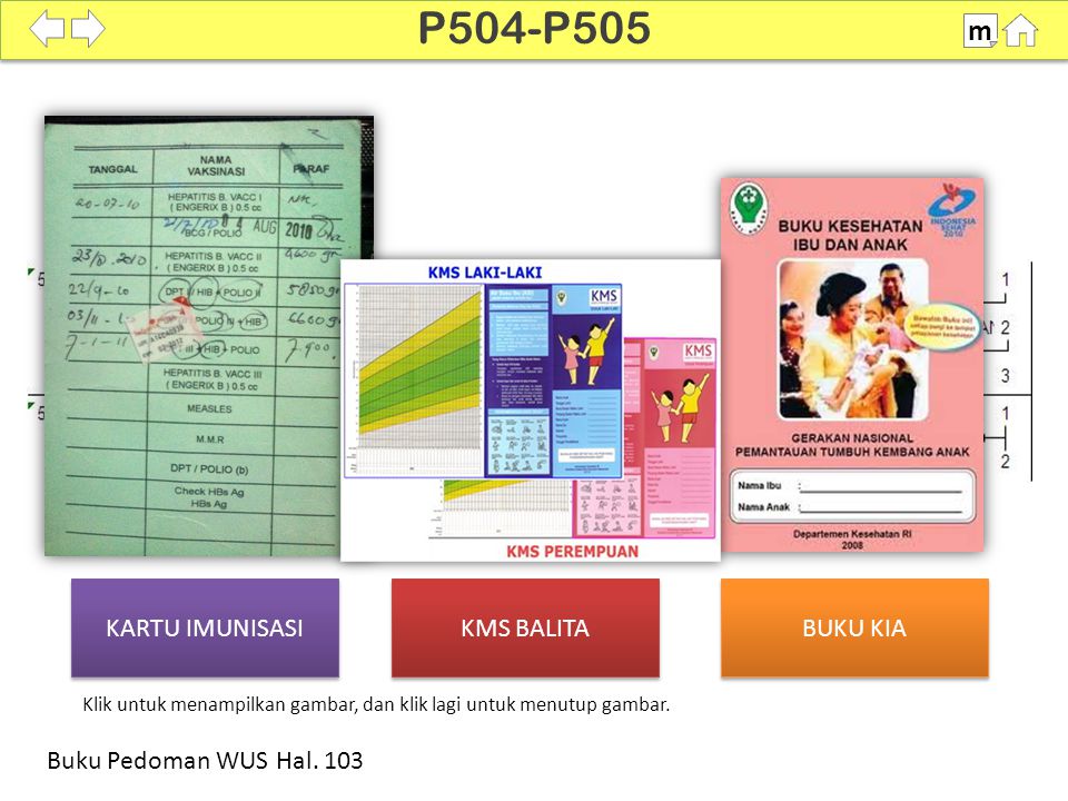 Detail Buku Imunisasi Anak Nomer 42