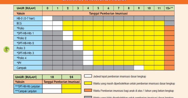 Detail Buku Imunisasi Anak Nomer 7