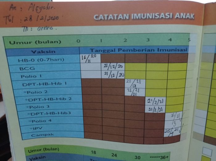 Detail Buku Imunisasi Bayi Nomer 9