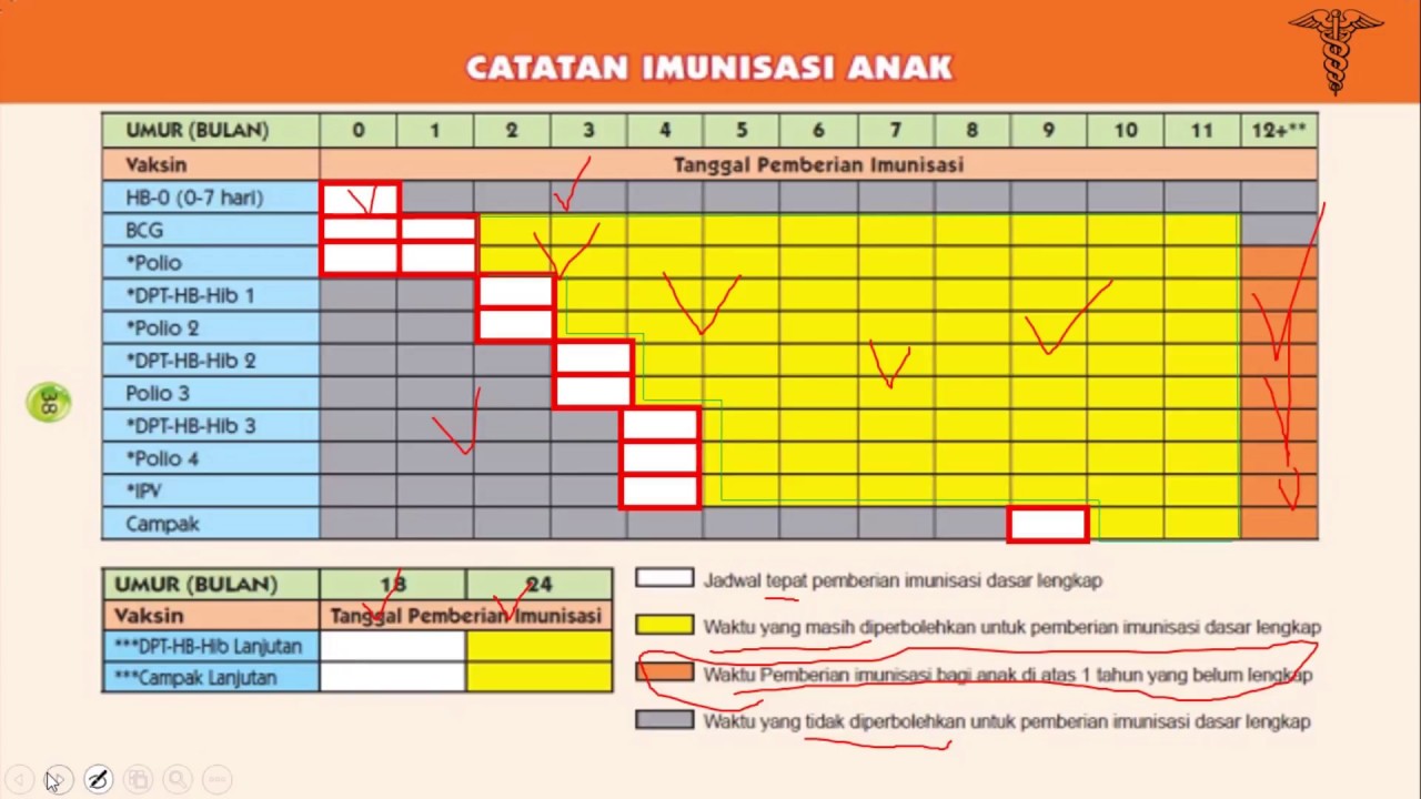 Detail Buku Imunisasi Bayi Nomer 12