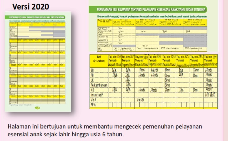 Detail Buku Imunisasi Bayi Nomer 17