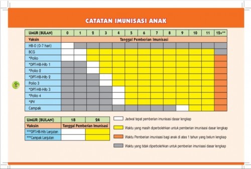 Detail Buku Imunisasi Bayi Nomer 6