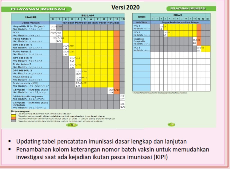 Detail Buku Imunisasi Bayi Nomer 8