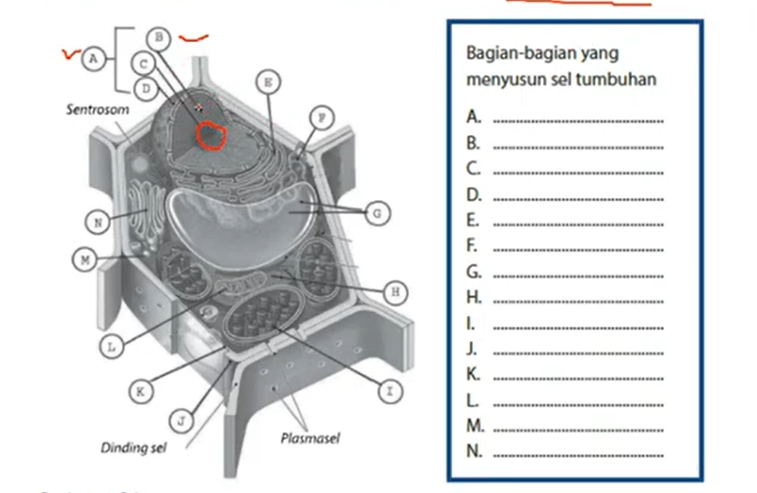 Detail Buku Ipa K13 Kelas 7 Nomer 42