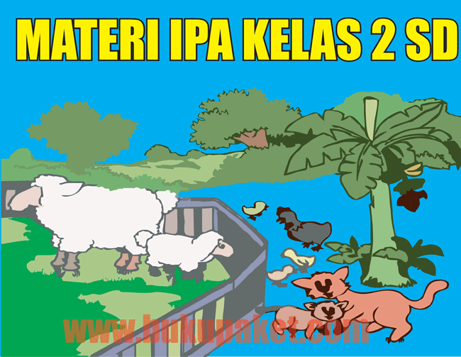 Detail Buku Ipa Kelas 2 Sd Kurikulum 2013 Nomer 6