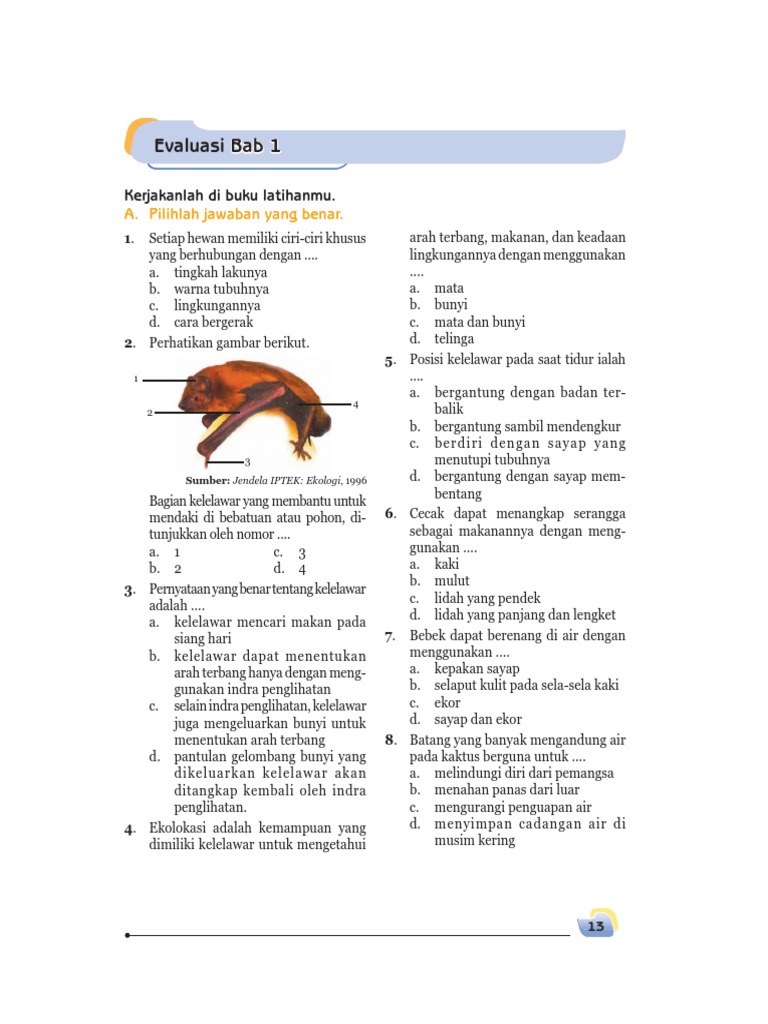Detail Buku Ipa Kelas 6 Nomer 23