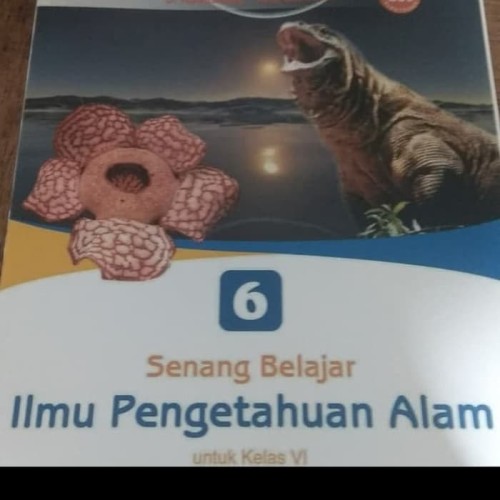 Detail Buku Ipa Kelas 6 Sd Nomer 22