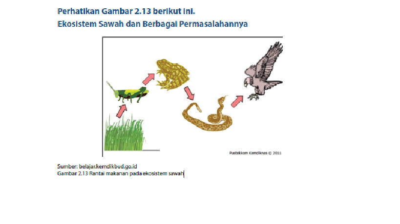 Detail Buku Ipa Kelas 7 Kurikulum 2013 Semester 2 Nomer 21