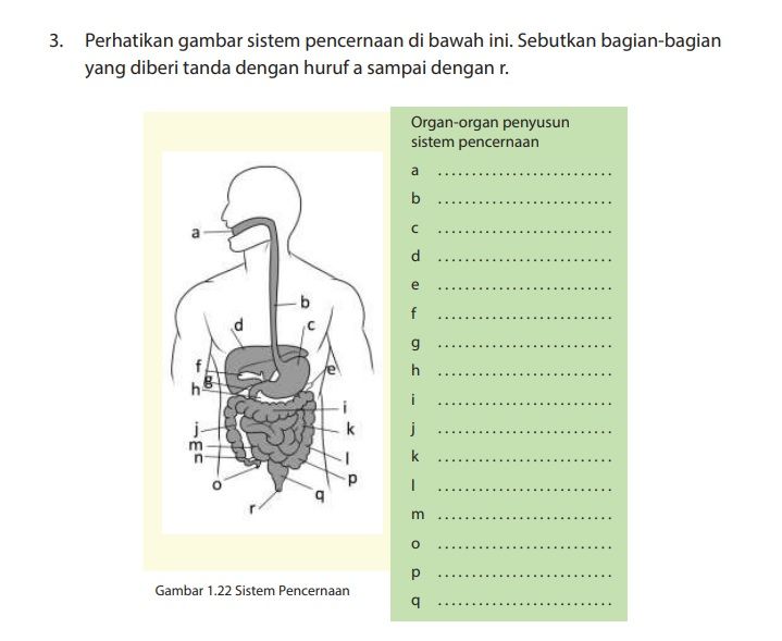 Detail Buku Ipa Kelas 7 Semester 1 Nomer 33