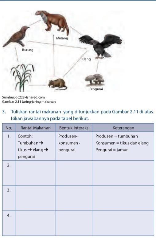 Detail Buku Ipa Kelas 7 Semester 2 Nomer 17