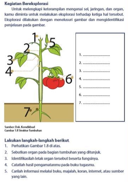 Detail Buku Ipa Kelas 7 Semester 2 Nomer 18