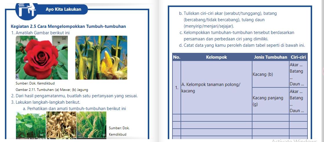 Detail Buku Ipa Kelas 7 Smp Nomer 43